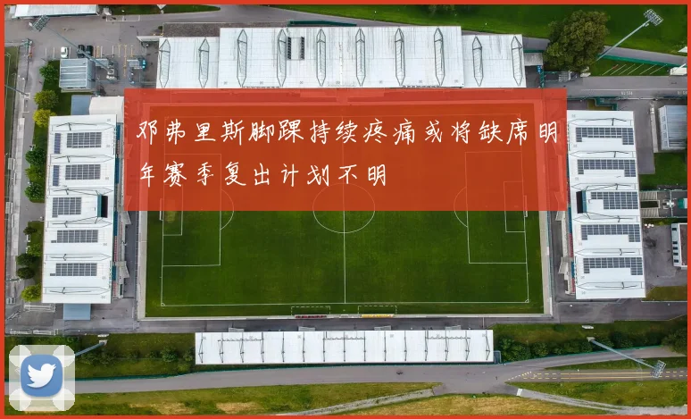 邓弗里斯脚踝持续疼痛或将缺席明年赛季复出计划不明