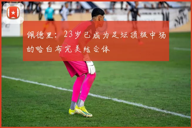 佩德里：23岁已成为足坛顶级中场的哈白布完美结合体