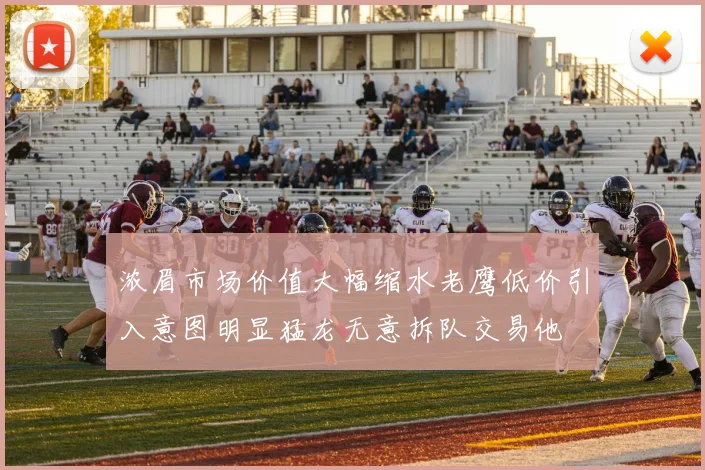浓眉市场价值大幅缩水老鹰低价引入意图明显猛龙无意拆队交易他