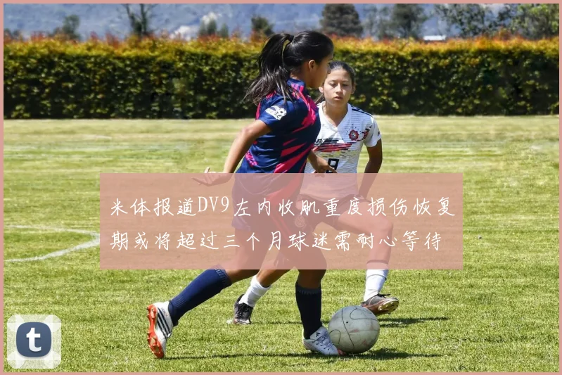 米体报道DV9左内收肌重度损伤恢复期或将超过三个月球迷需耐心等待
