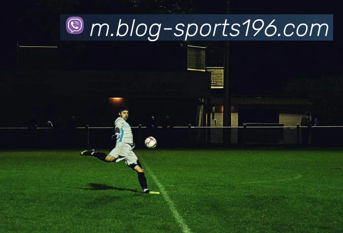 196体育平台生态图